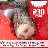 Hecht 890 Rot Brennholzsäge - 5